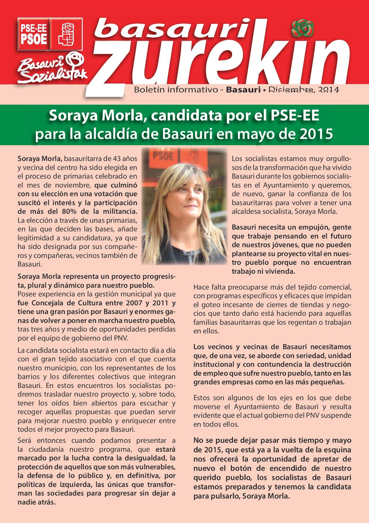 Boletín PSE-EE Basauri. Diciembre 2014